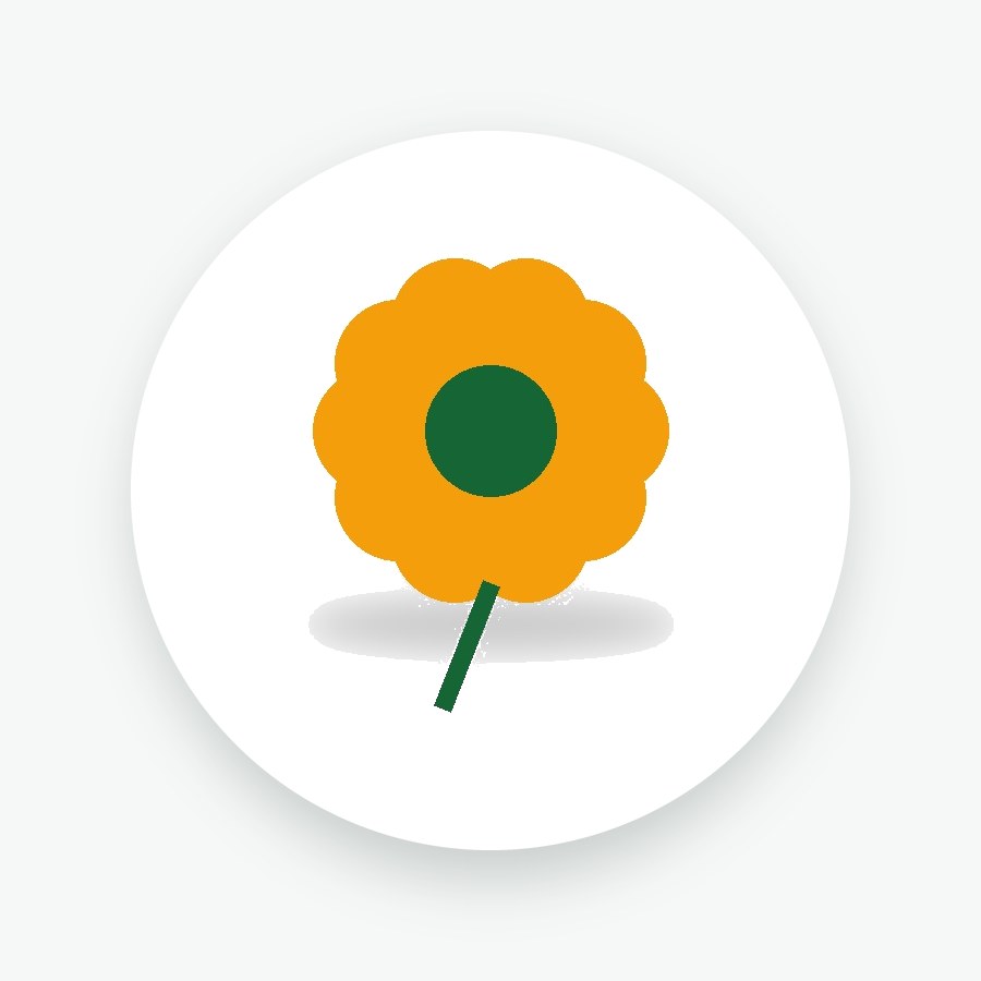 Marigold Seeds 100 Seeds