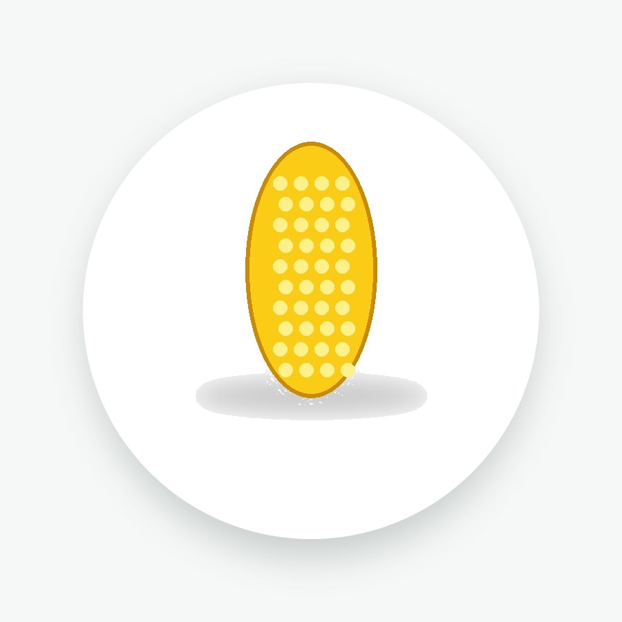 Maize Seeds 1kg