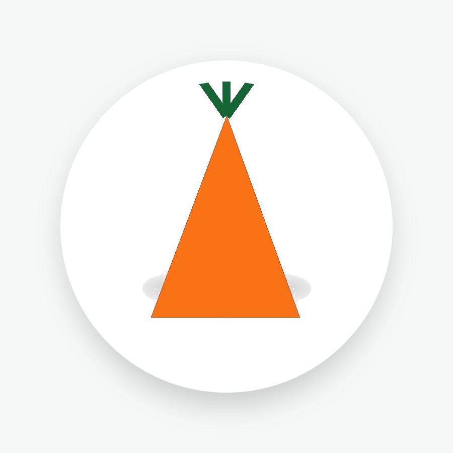Carrot Seeds 250g